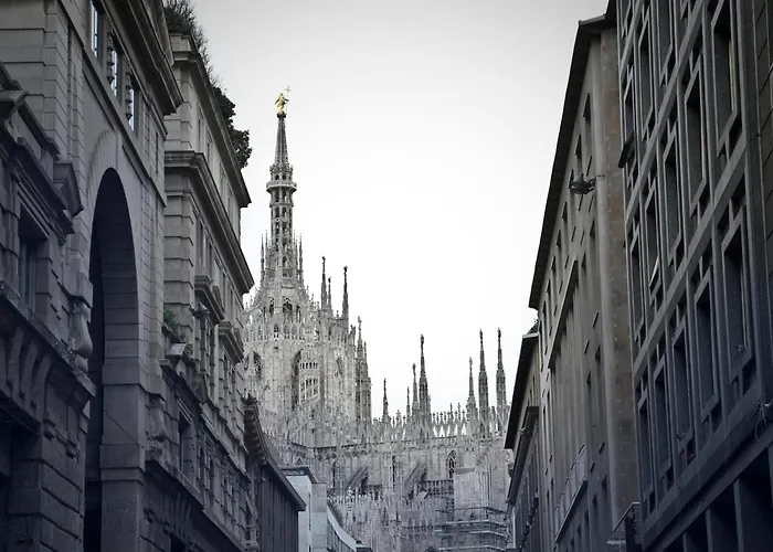 Urban Wildlife - San Babila Duomo
